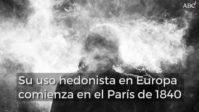 Cannabis, la droga que usaba la secta de los ismaelitas para realizar acciones como las de Daesh