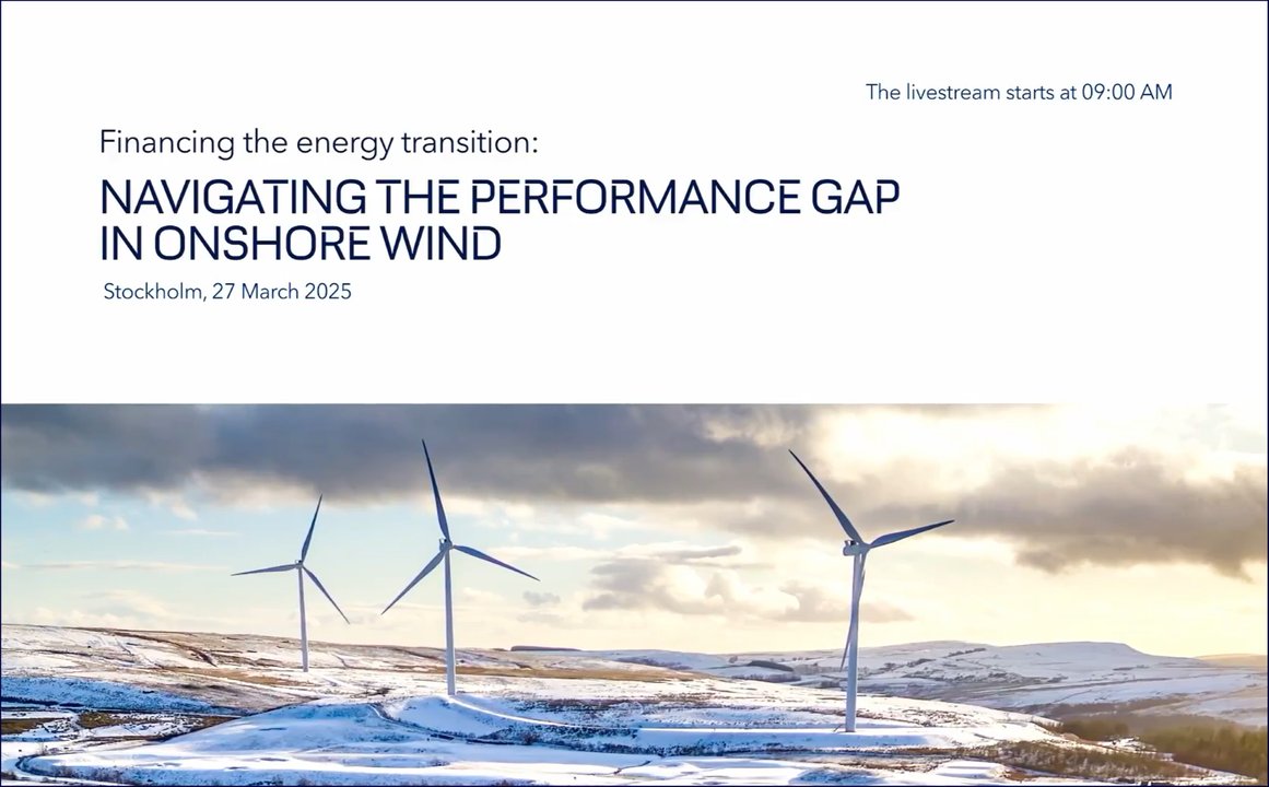 Financing the Energy Transition: Navigating the performance gap in ...