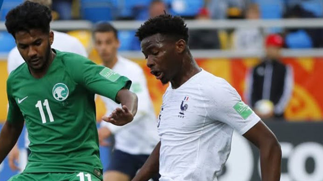 Mondial 2019 - France - Arabie Saoudite (2-0), le resume