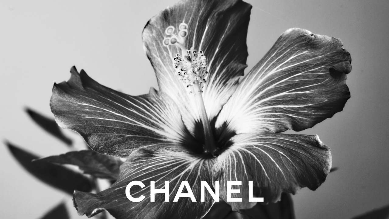 22c_btq_chanel_provence_30sec_1_1920x1080-en