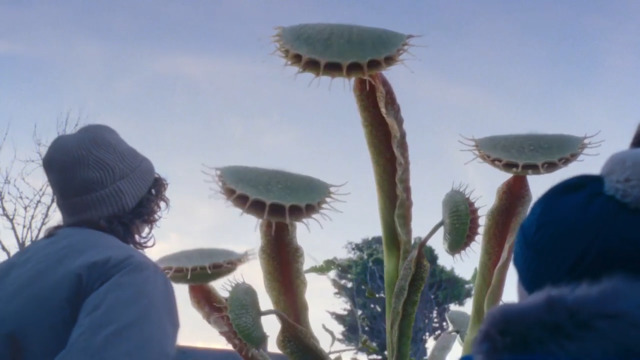 John Lewis finally reveals Christmas advert for 2023 starring loveable venus  flytrap - Heart