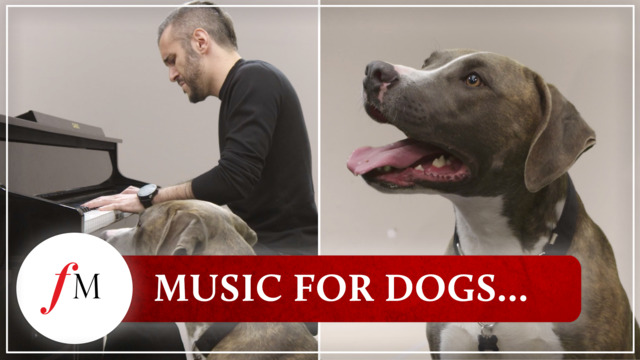 Musical dog deals names