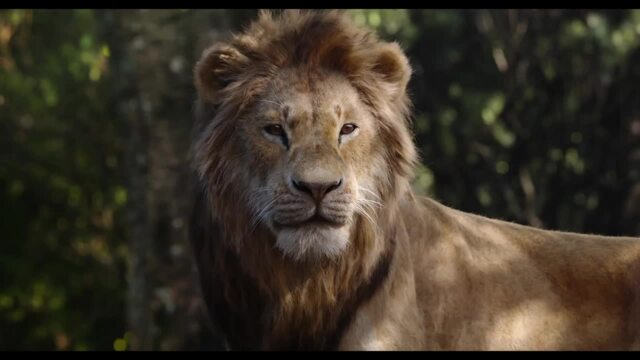 New Lion King Trailer Pays Homage To Disney Original Every Shot