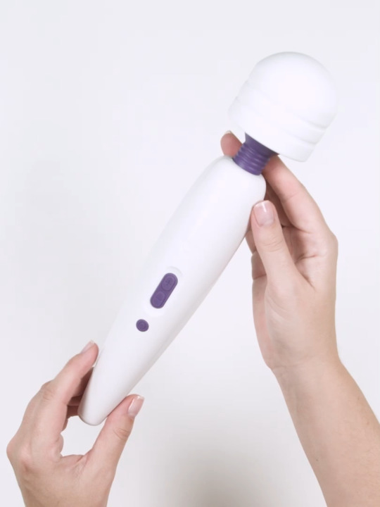 Lovehoney Classic Wand Rechargeable Extra Powerful Multispeed Wand Vibrator  