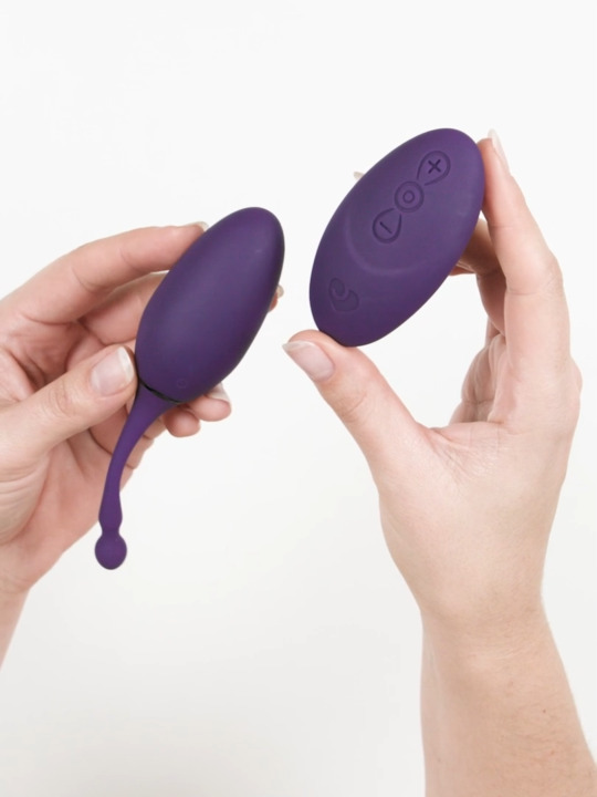 Desire Luxury Rechargeable Remote Control Love Egg Vibrator