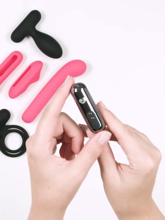 Lovehoney Pleasure Link Remote Control Couple's Kit