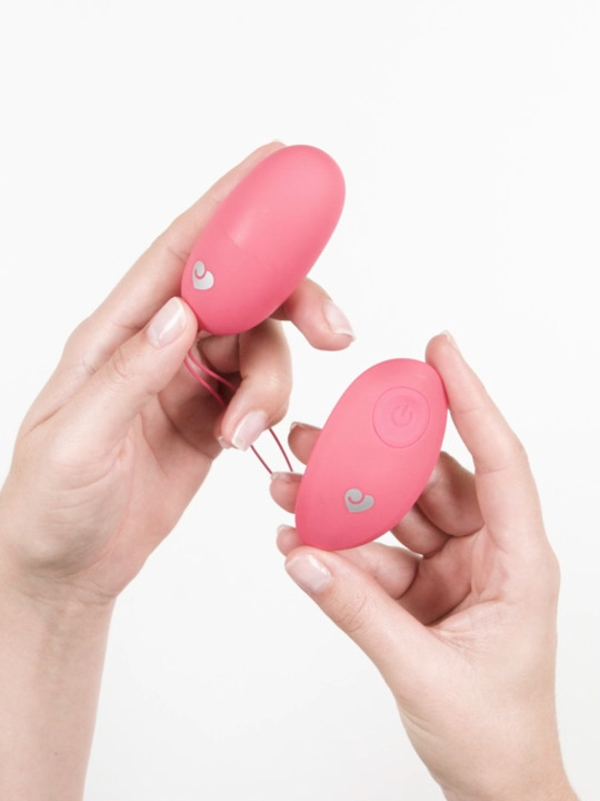 Lovehoney Secret Agent Rechargeable Remote Control Love Egg