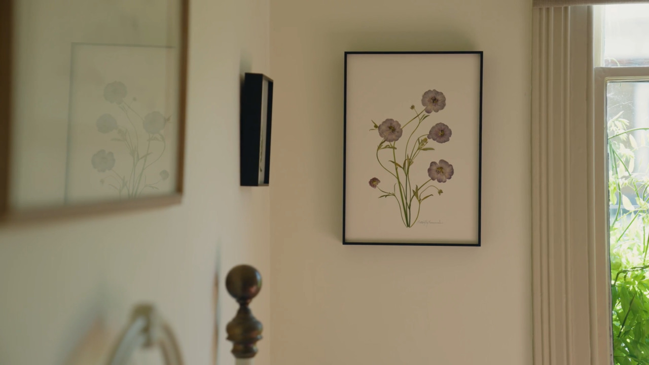 Create a pressed flower artwork - Butterfly Ranunculus