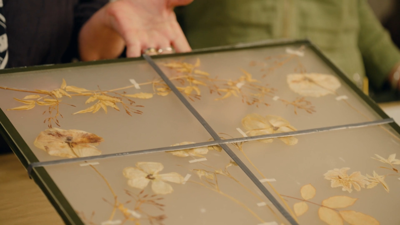 Working with light and fading colour