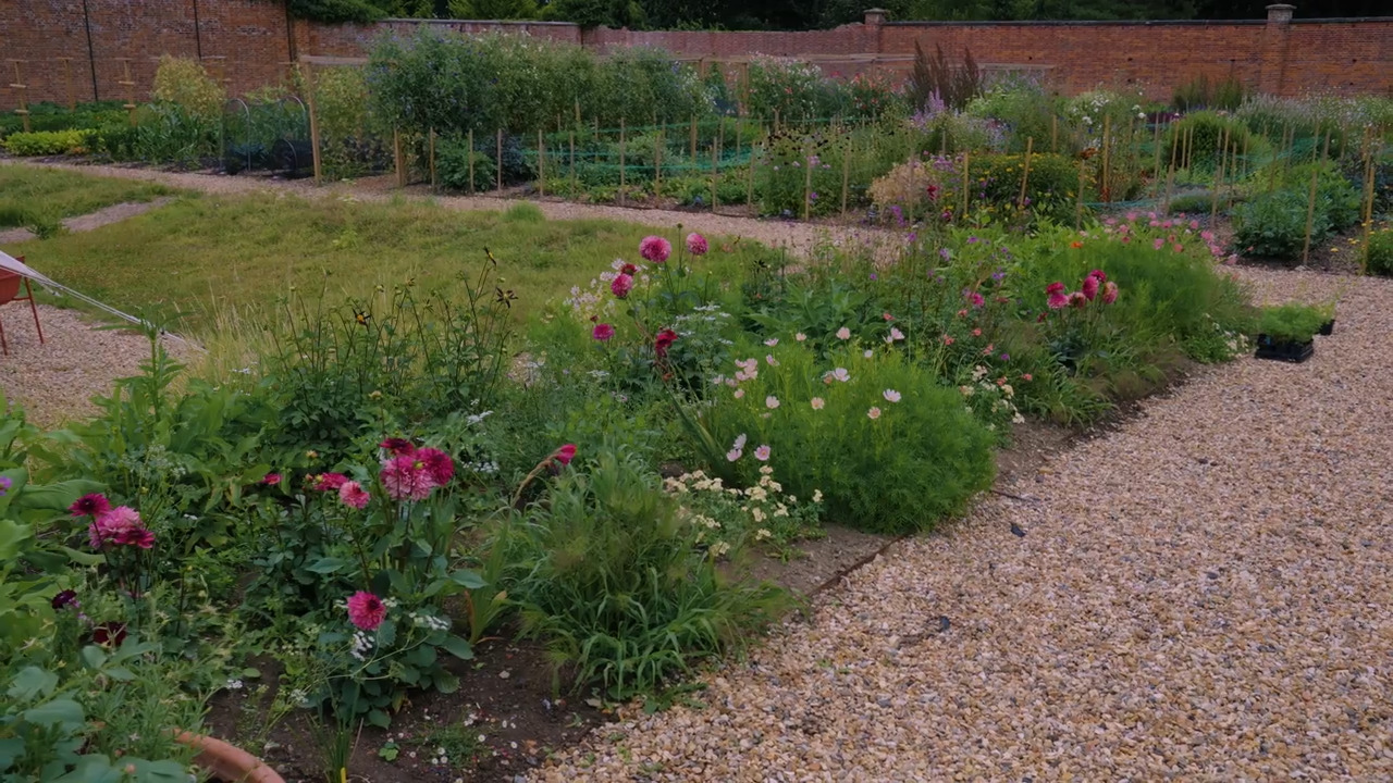 Annual borders - the basics