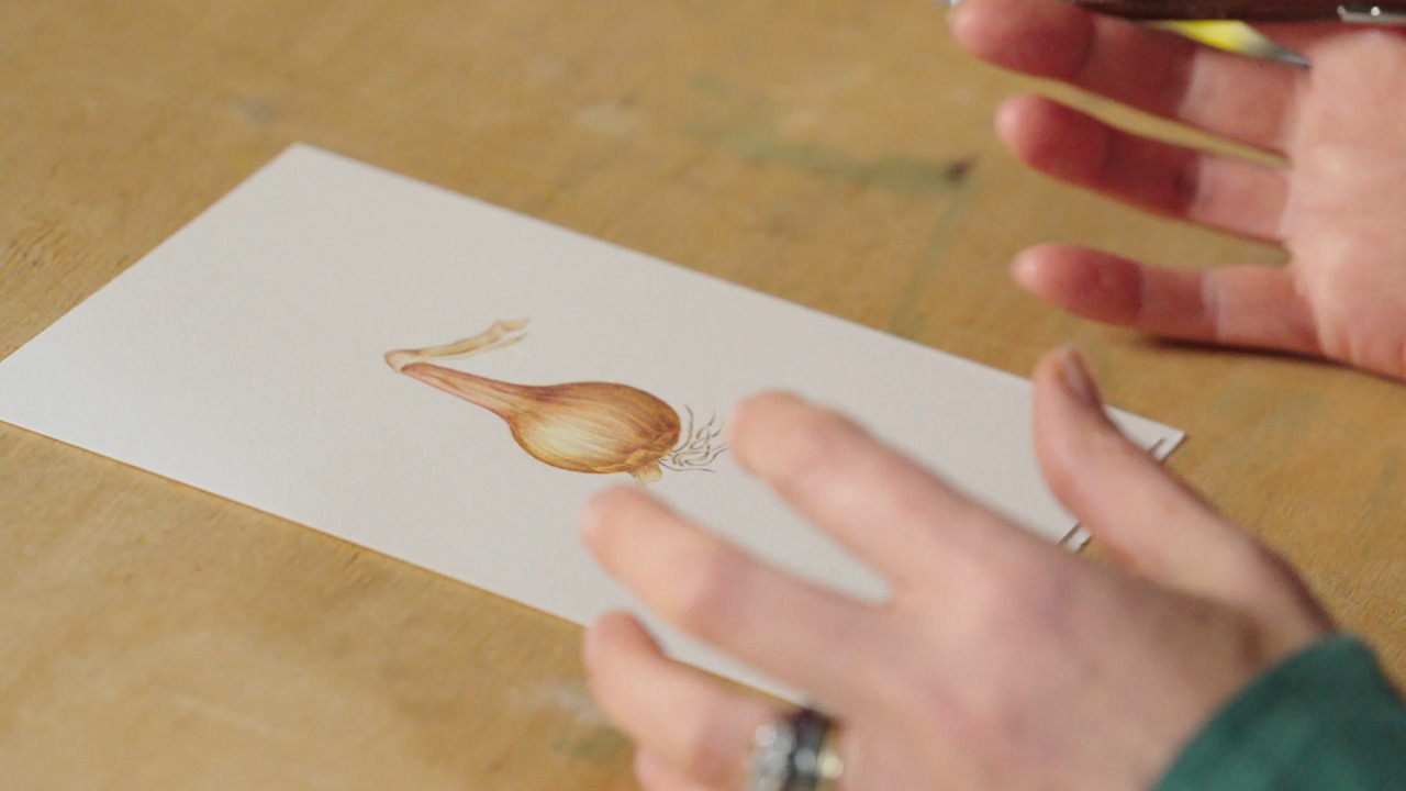 How to paint a spherical specimen in colour - Part 1