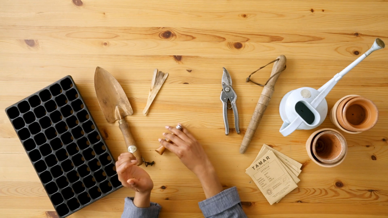 Claire’s essential toolkit 