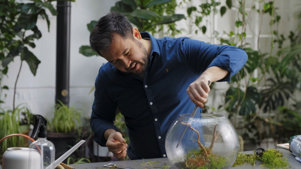 Aquascaping - part 1