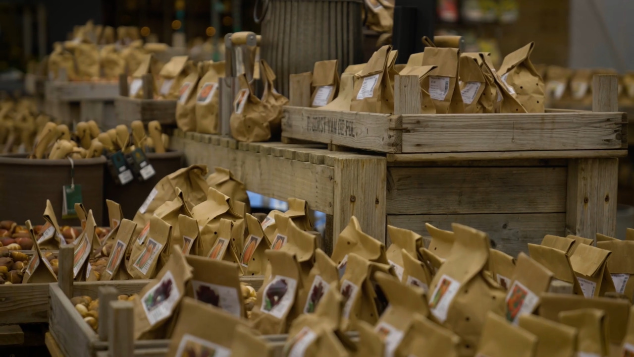 The garden centre - part 1: selecting your bulbs