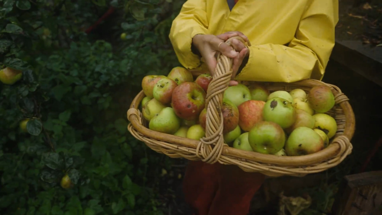 Making the most of apples