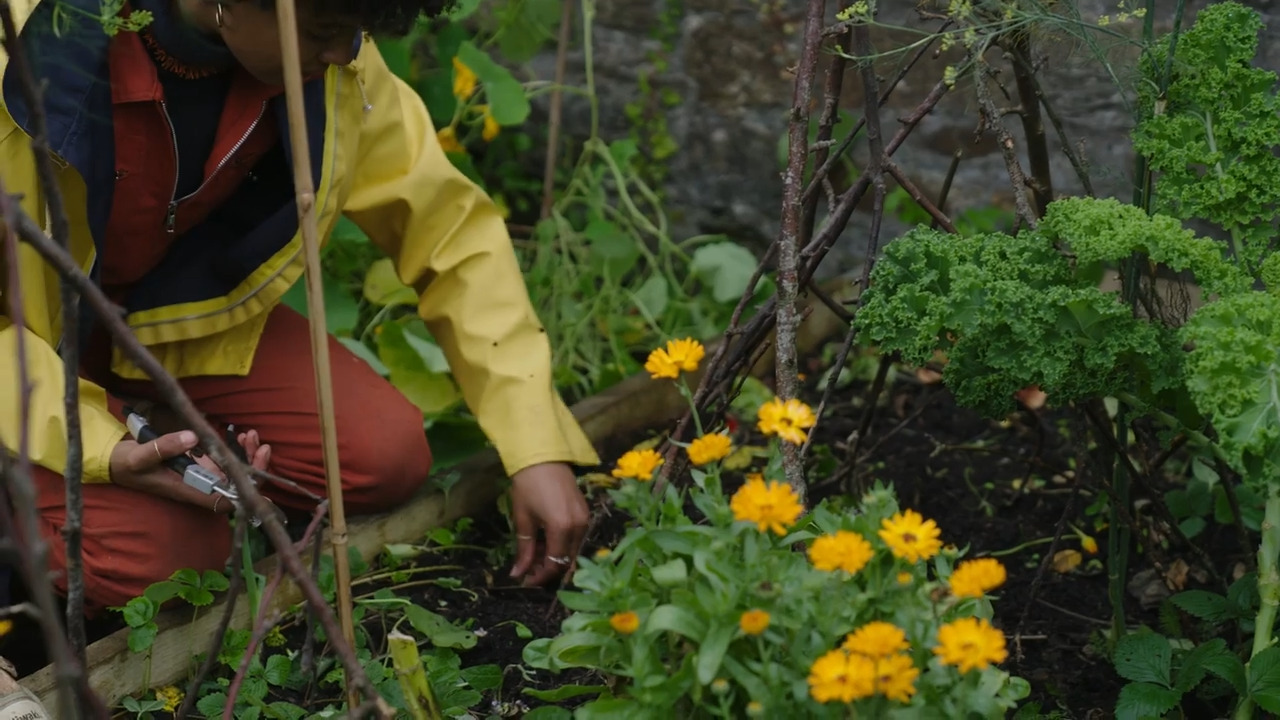 Putting the garden to bed in an ecological way 