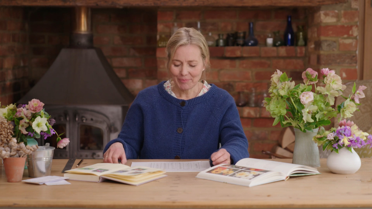 Planning a cut flower patch from seed