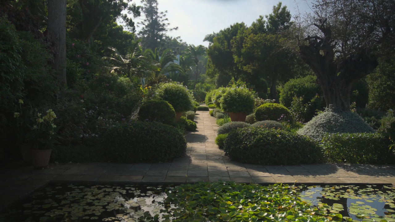 A glimpse of Gazebo’s gardens