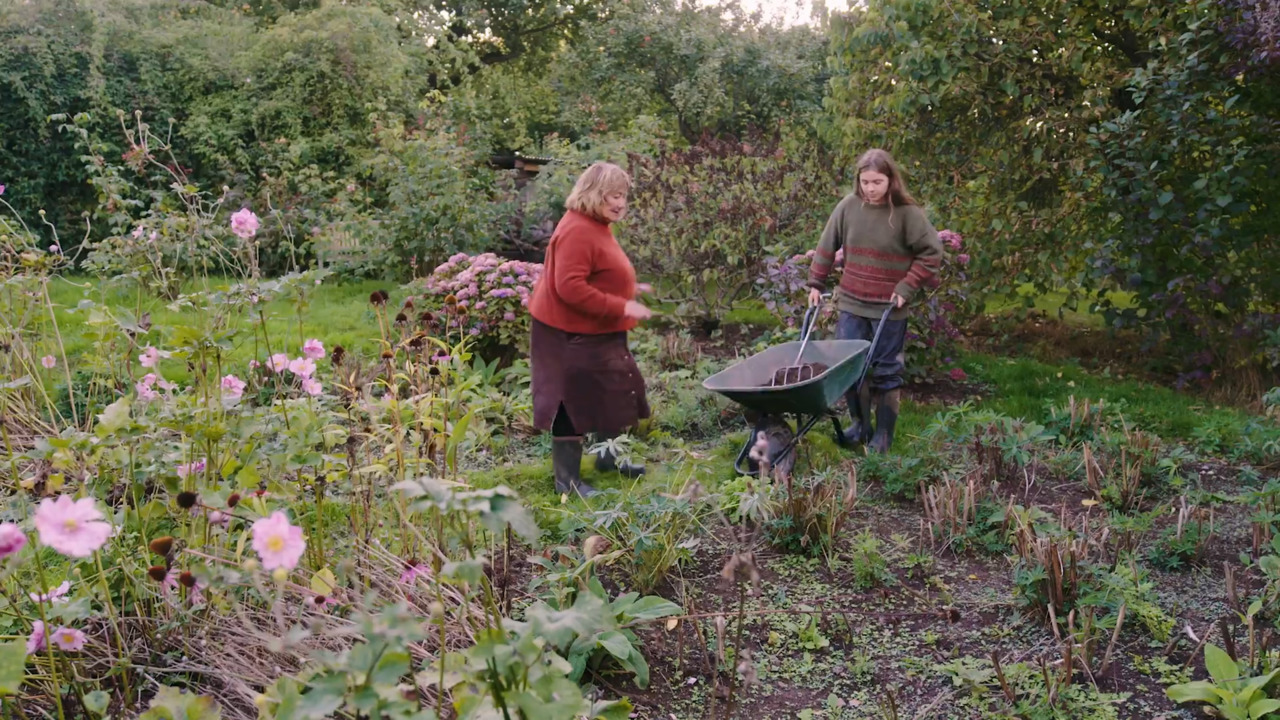  Composting and preparing your land for winter 