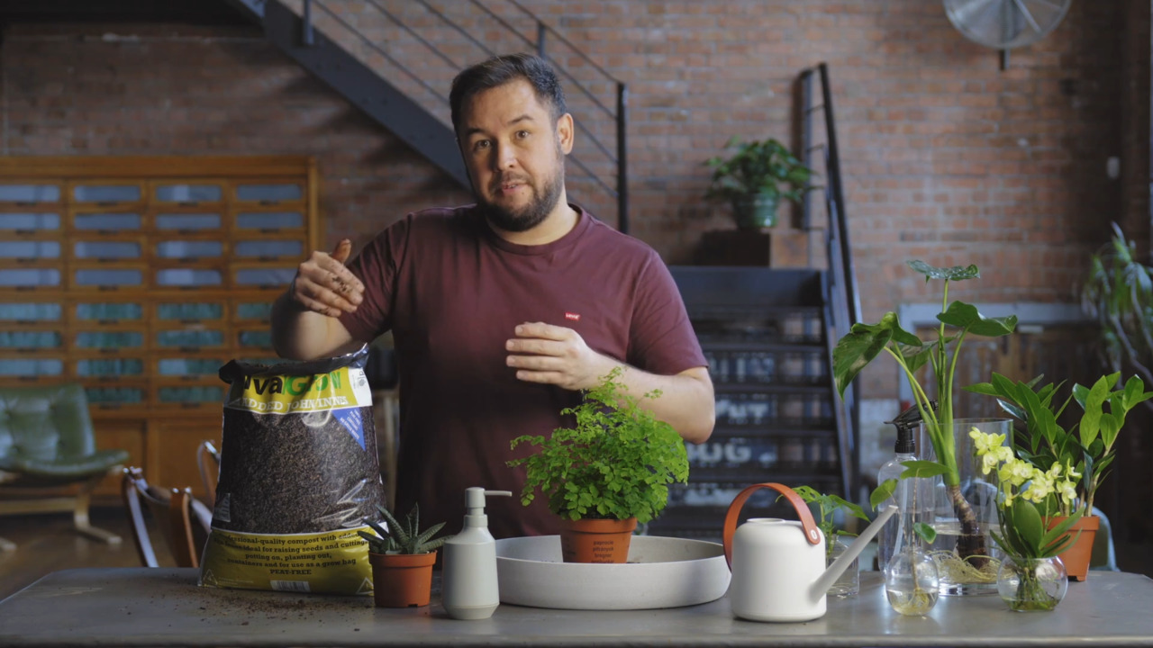 Plant care - growing media