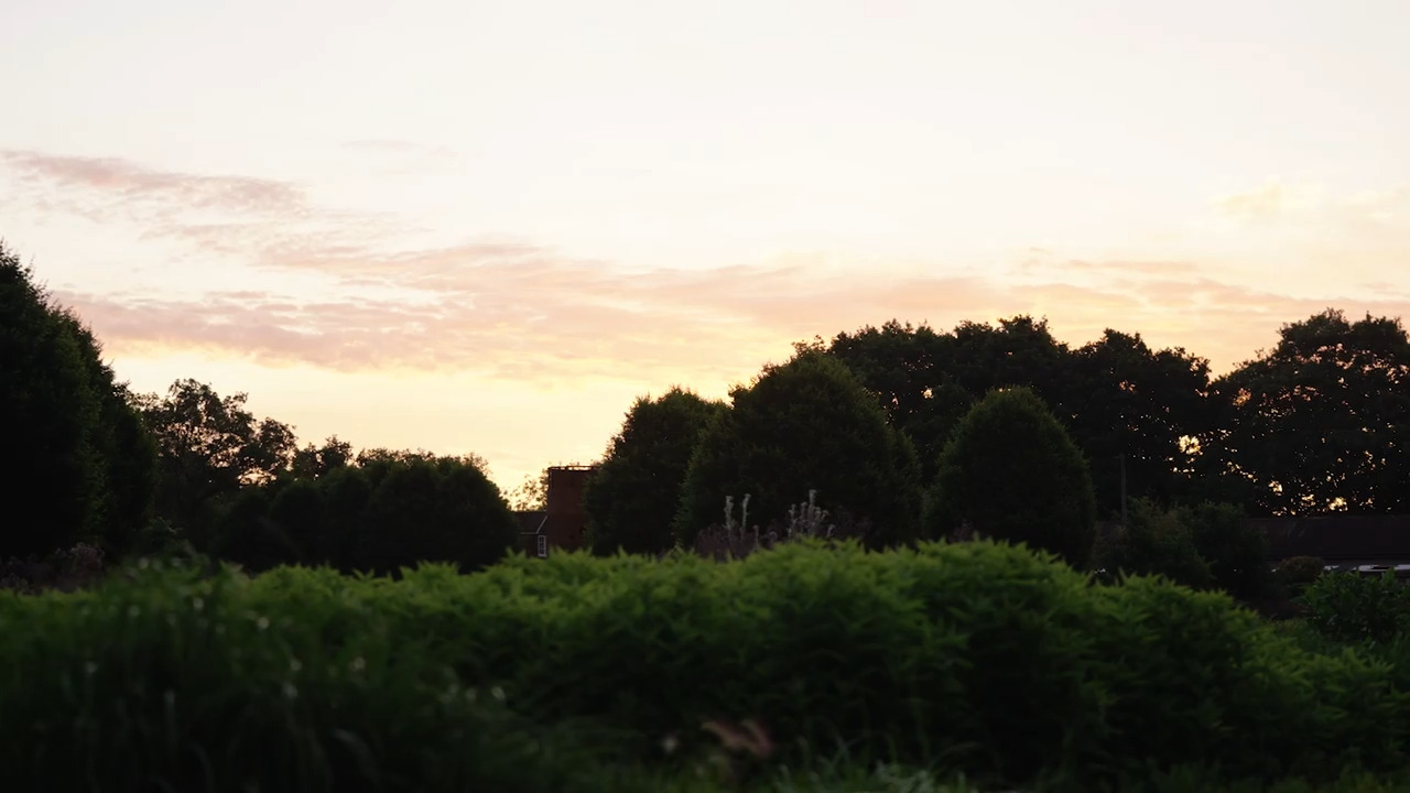 Shooting at dawn - the wide: Part 1