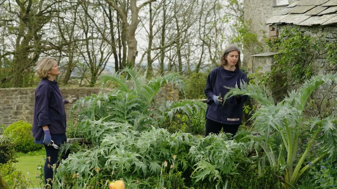 Cutting from the garden in spring - Part 3: Guelder rose, euphorbia, currants and artichokes