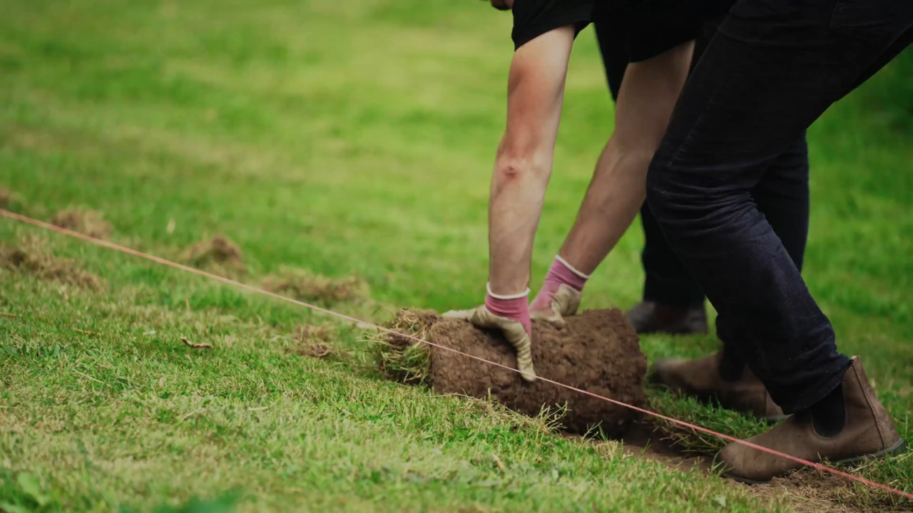 Cutting and preparing new beds