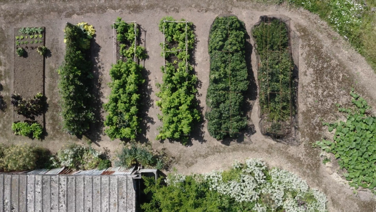 Hillside: the kitchen garden - part 2