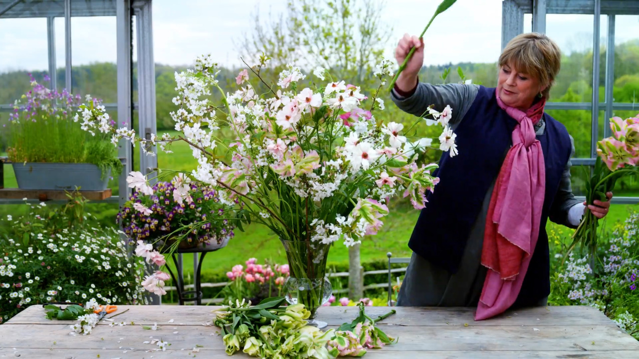 A tulip arrangement with spring blossom and butterfly ranunculus