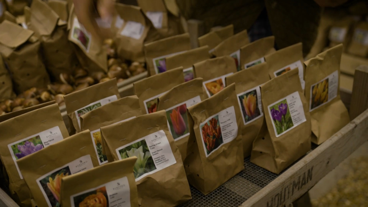 The garden centre - part 3: colour palettes