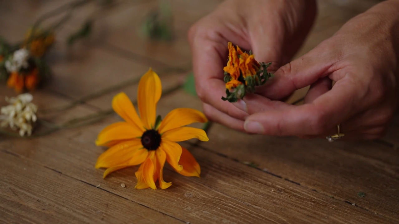 What flowers to dry - Part 3: Perennials