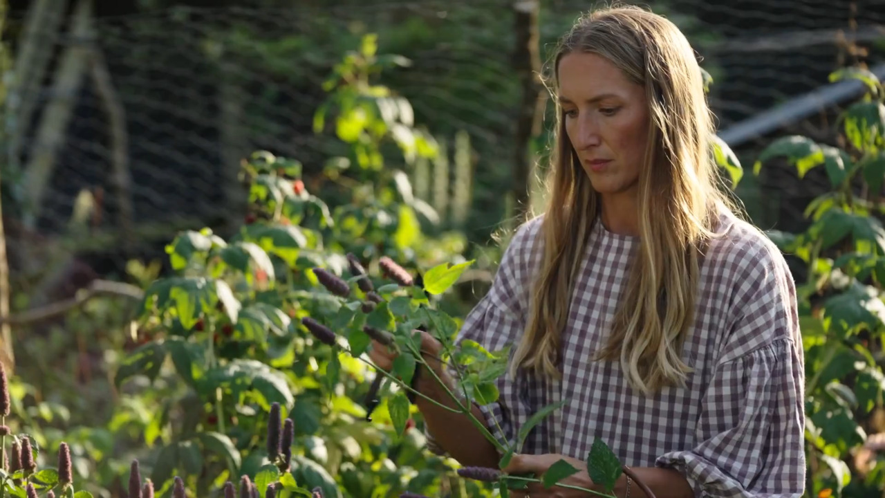 When and how to harvest
