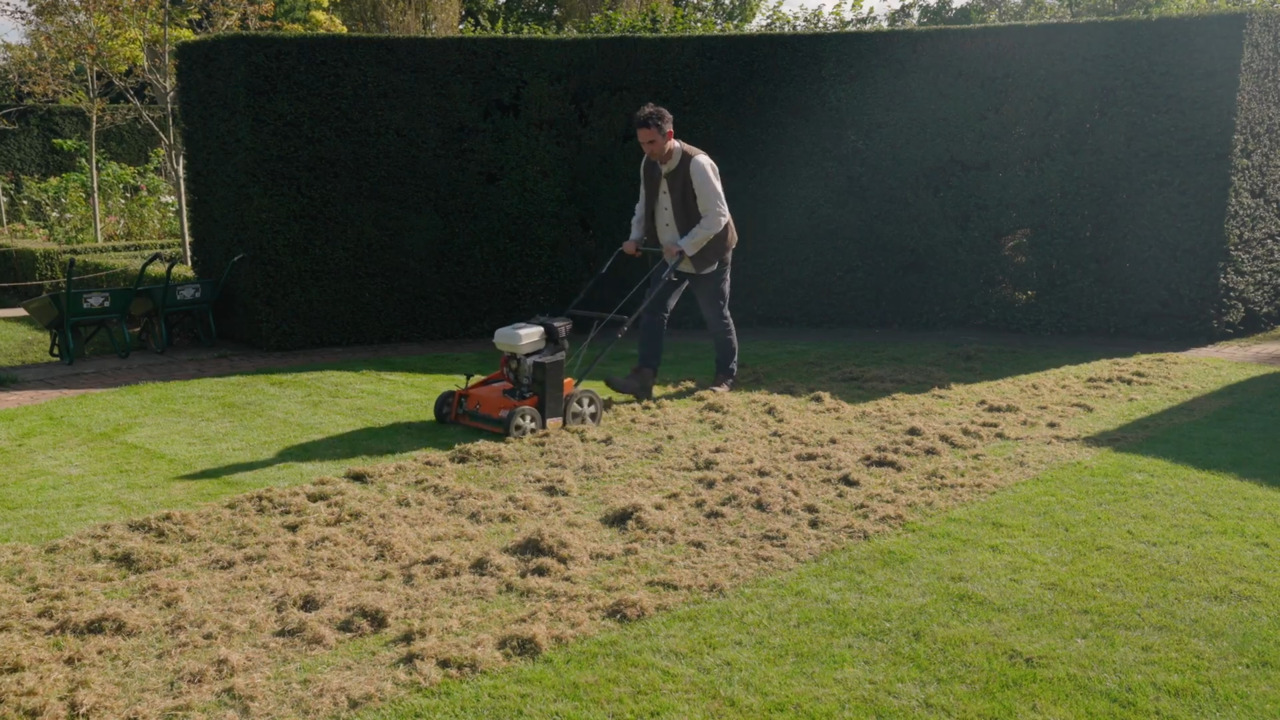 How to maintain your lawn