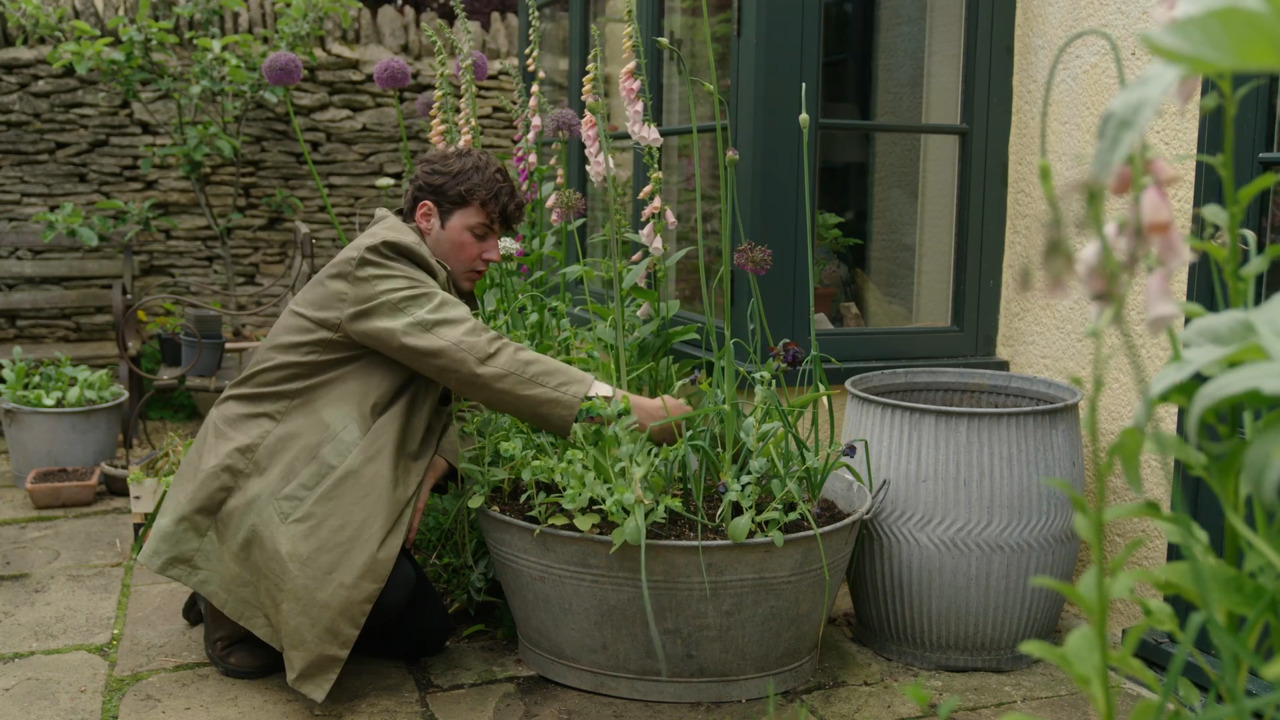 The tin bath in early summer