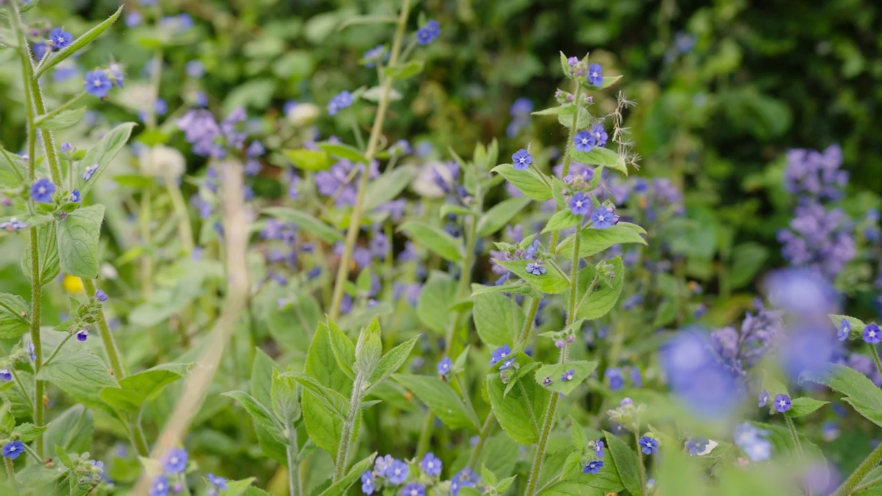 Taking inspiration from the wild 