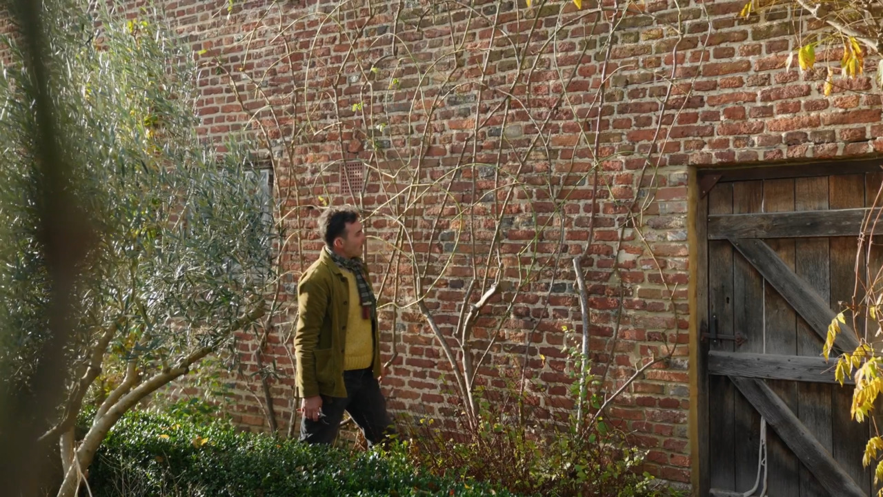 How to train a rose up a wall