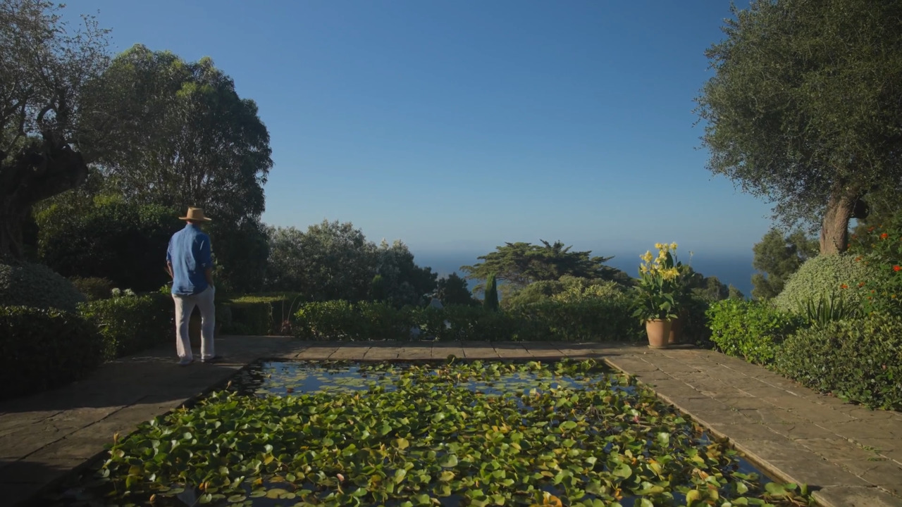 The garden ‘rooms’