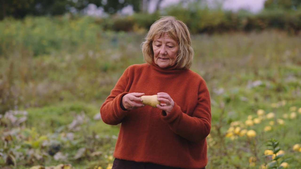 Jane’s favourite squash varieties 