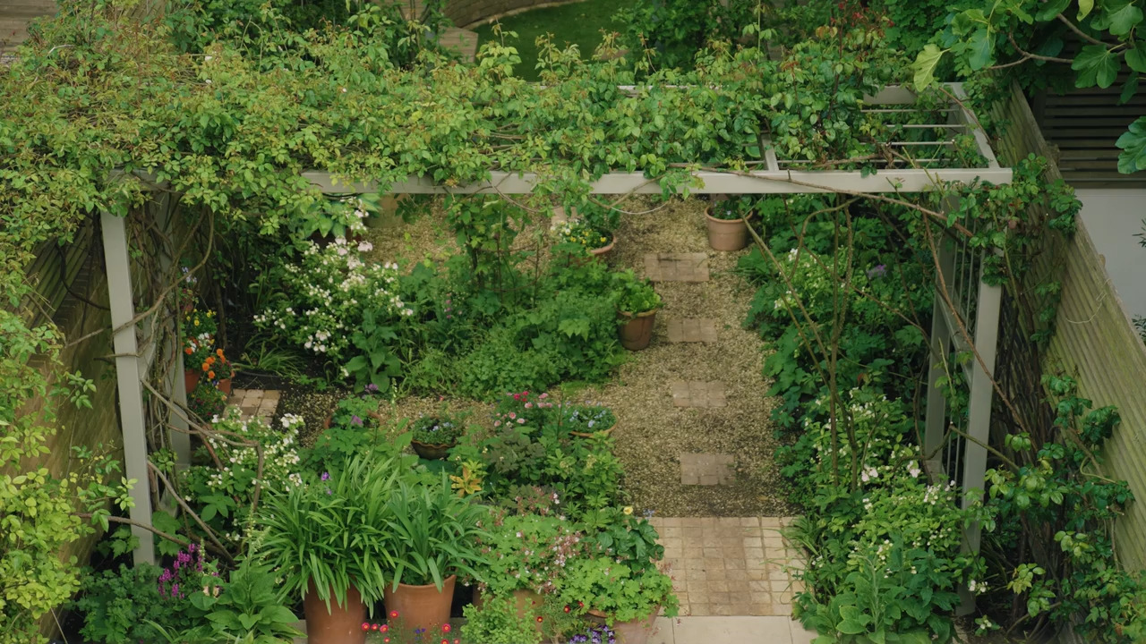 Part 2 - A London garden walkthrough