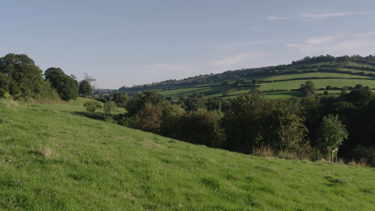 Introduction to aspect and soil 