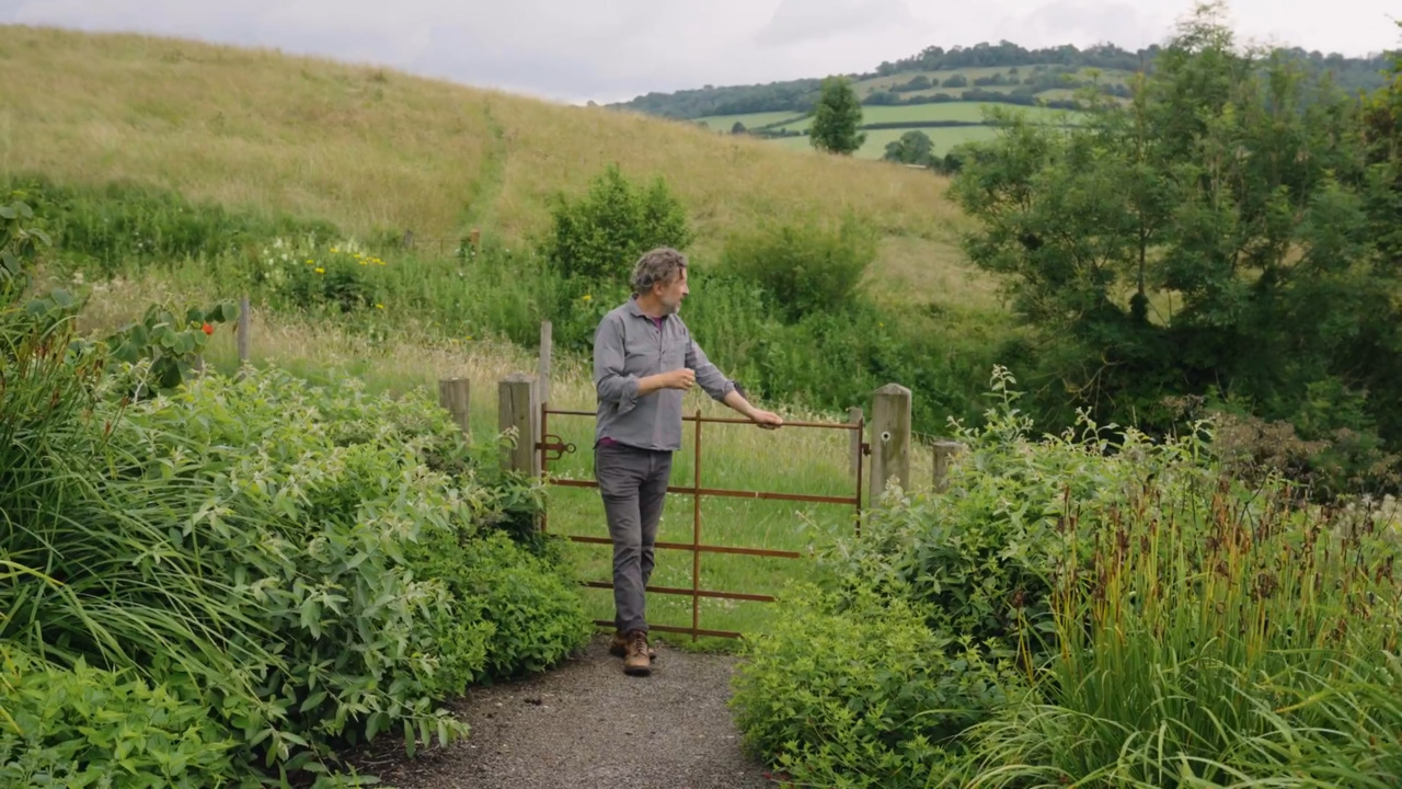 Hillside: planting design - part 3