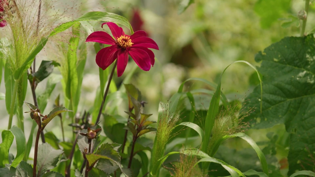 Filling pots with home-grown combinations