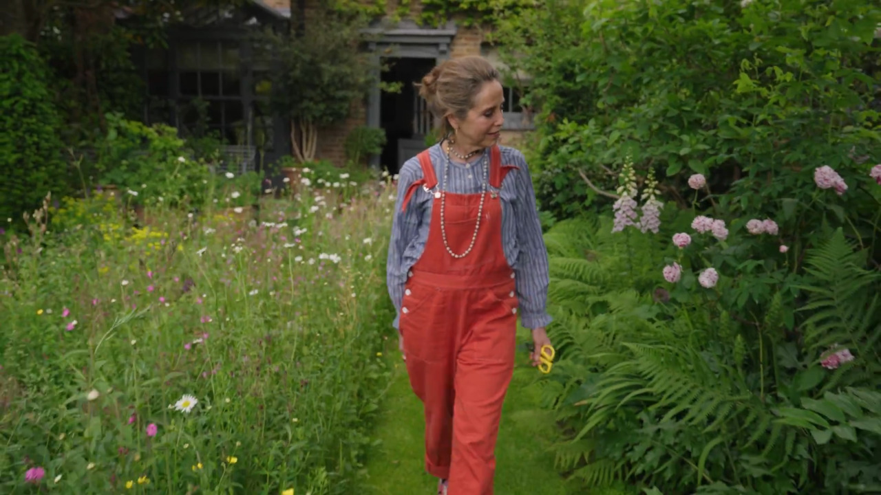 A wild city garden - part 1