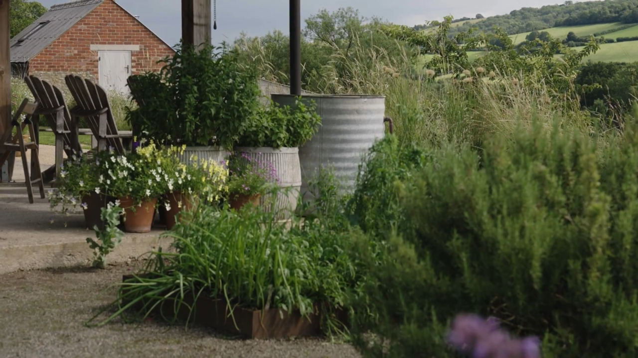 Hillside: planting design - part 4