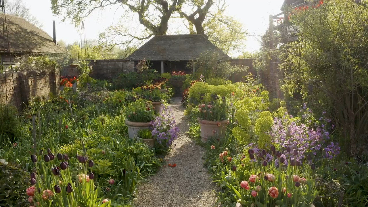 An introduction to magnificent pots