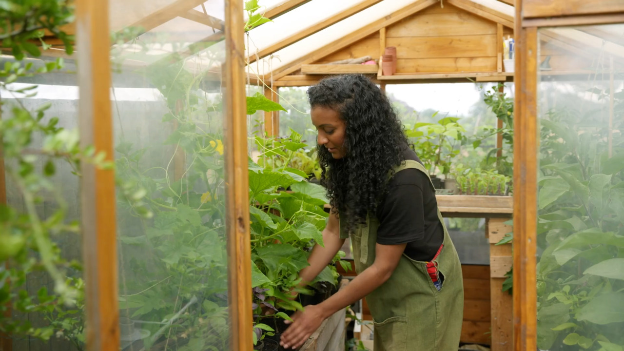 Growing in the greenhouse 