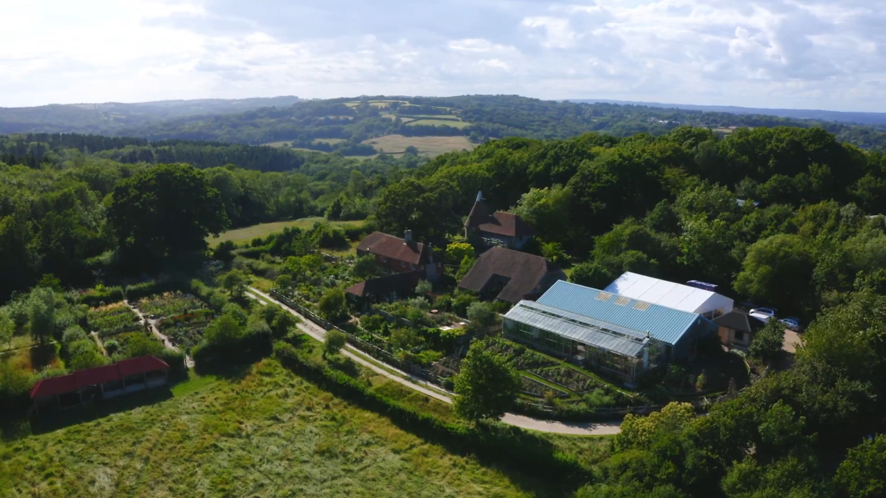 The cutting patch in September 
