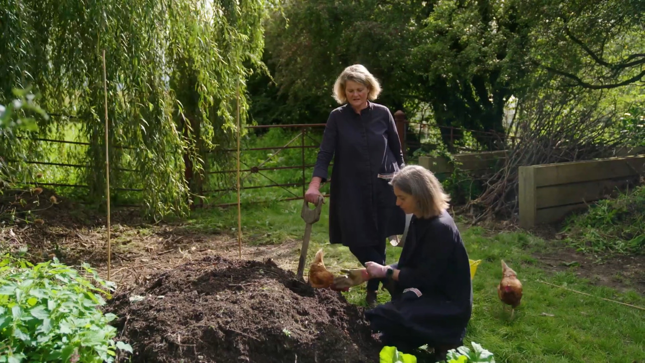 A compost cake after six months