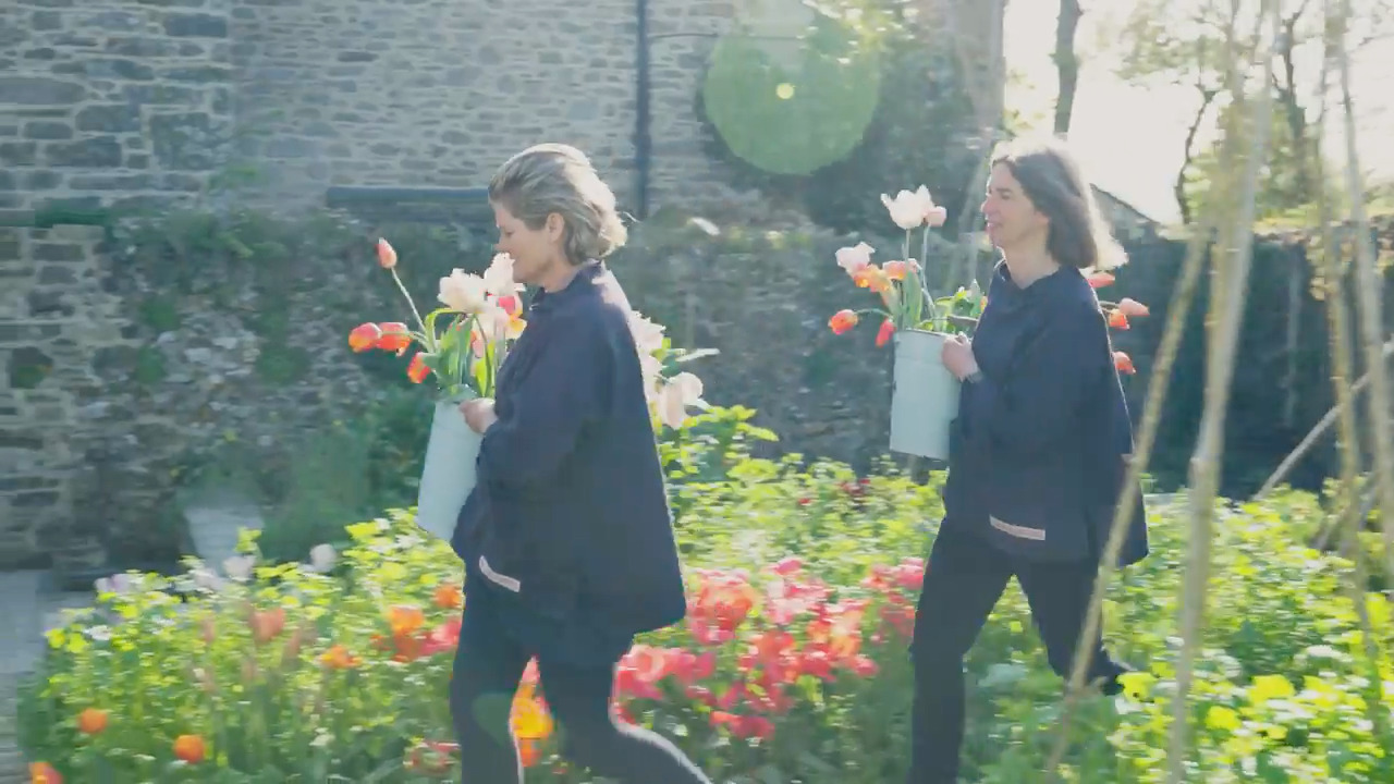 Tulips - Part 1: Harvesting