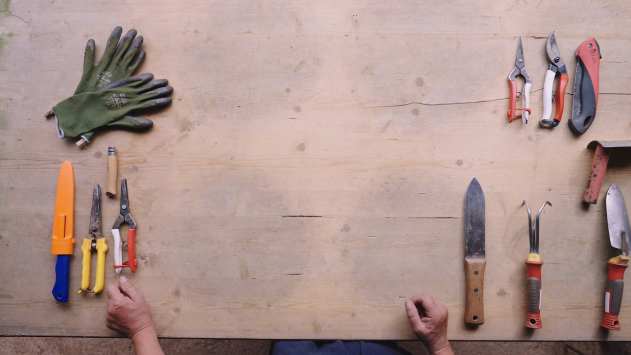 The equipment you’ll need